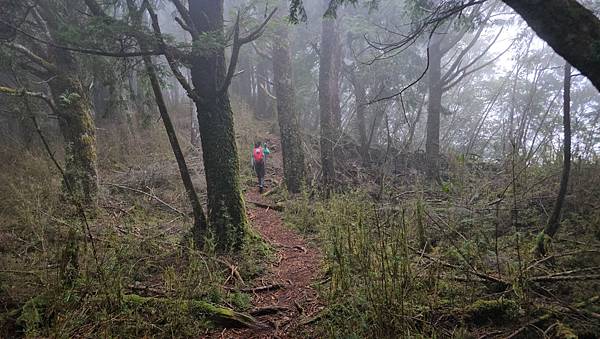 【西巒大山】挑戰百岳編號91｜從黑夜出發，遠望日月潭的黎明之