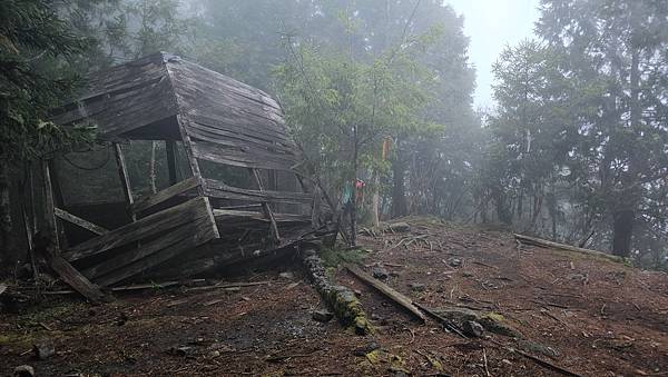 【西巒大山】挑戰百岳編號91｜從黑夜出發，遠望日月潭的黎明之