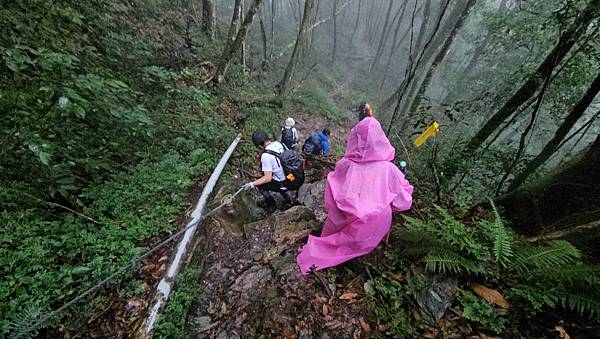 【西巒大山】挑戰百岳編號91｜從黑夜出發，遠望日月潭的黎明之