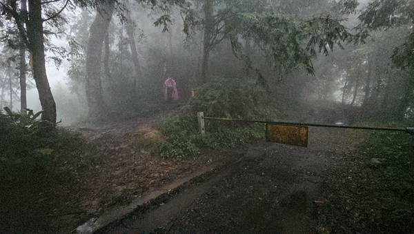 【西巒大山】挑戰百岳編號91｜從黑夜出發，遠望日月潭的黎明之