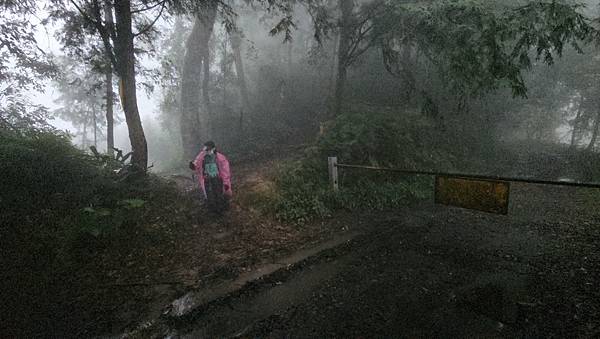 【西巒大山】挑戰百岳編號91｜從黑夜出發，遠望日月潭的黎明之