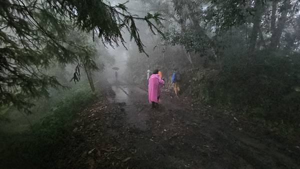 【西巒大山】挑戰百岳編號91｜從黑夜出發，遠望日月潭的黎明之