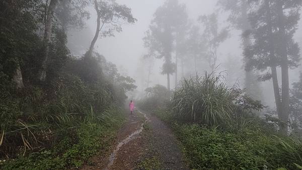 【西巒大山】挑戰百岳編號91｜從黑夜出發，遠望日月潭的黎明之
