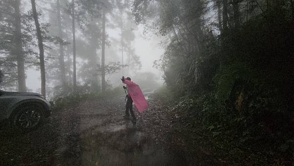 【西巒大山】挑戰百岳編號91｜從黑夜出發，遠望日月潭的黎明之