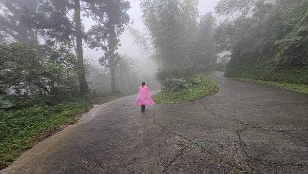 【西巒大山】挑戰百岳編號91｜從黑夜出發，遠望日月潭的黎明之