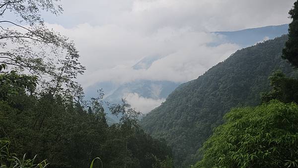 【西巒大山】挑戰百岳編號91｜從黑夜出發，遠望日月潭的黎明之