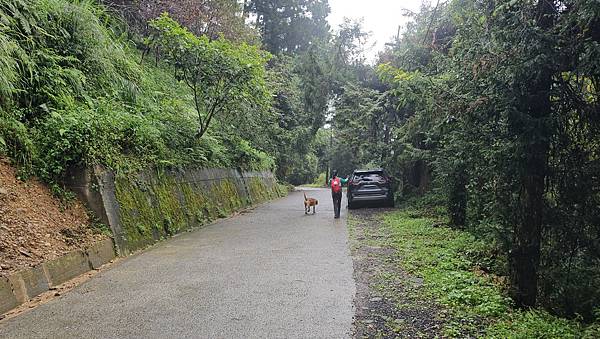【西巒大山】挑戰百岳編號91｜從黑夜出發，遠望日月潭的黎明之