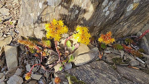 【合歡北西北】睽違2年再次挑戰，合歡群峰中路程最遠、最艱難、