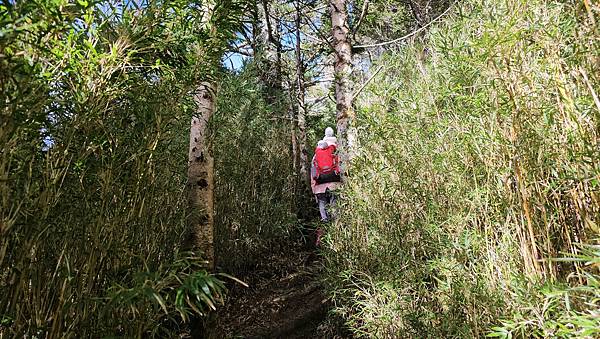 【合歡北西北】睽違2年再次挑戰，合歡群峰中路程最遠、最艱難、