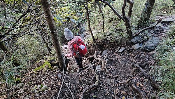 【合歡北西北】睽違2年再次挑戰，合歡群峰中路程最遠、最艱難、