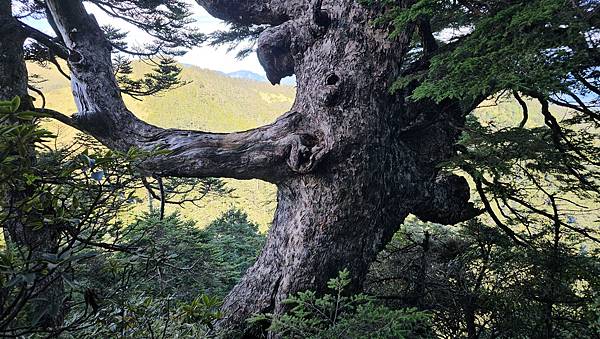【合歡北西北】睽違2年再次挑戰，合歡群峰中路程最遠、最艱難、