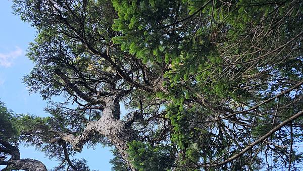【合歡北西北】睽違2年再次挑戰，合歡群峰中路程最遠、最艱難、