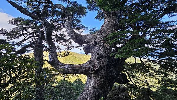 【合歡北西北】睽違2年再次挑戰，合歡群峰中路程最遠、最艱難、