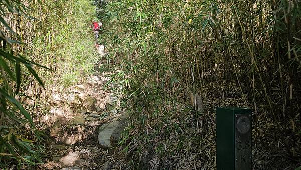 【合歡北西北】睽違2年再次挑戰，合歡群峰中路程最遠、最艱難、