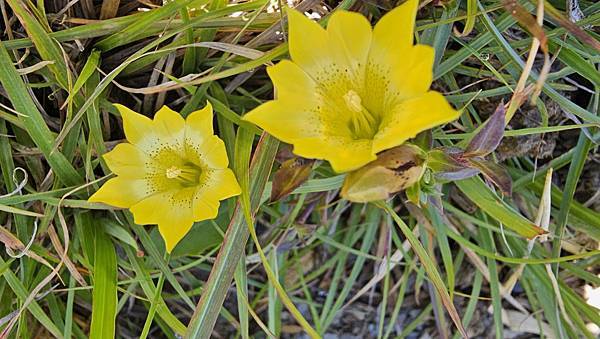 【合歡北西北】睽違2年再次挑戰，合歡群峰中路程最遠、最艱難、