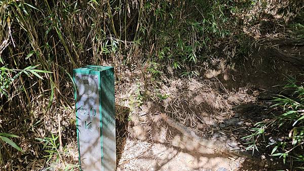 【合歡北西北】睽違2年再次挑戰，合歡群峰中路程最遠、最艱難、