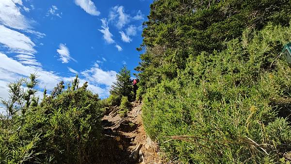 【合歡北西北】睽違2年再次挑戰，合歡群峰中路程最遠、最艱難、
