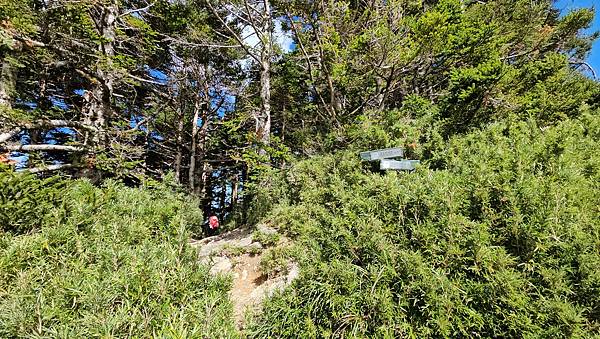 【合歡北西北】睽違2年再次挑戰，合歡群峰中路程最遠、最艱難、