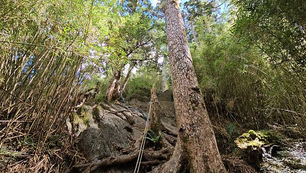 【合歡北西北】睽違2年再次挑戰，合歡群峰中路程最遠、最艱難、