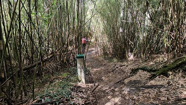 【合歡北西北】睽違2年再次挑戰，合歡群峰中路程最遠、最艱難、