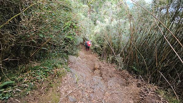 【合歡北西北】睽違2年再次挑戰，合歡群峰中路程最遠、最艱難、