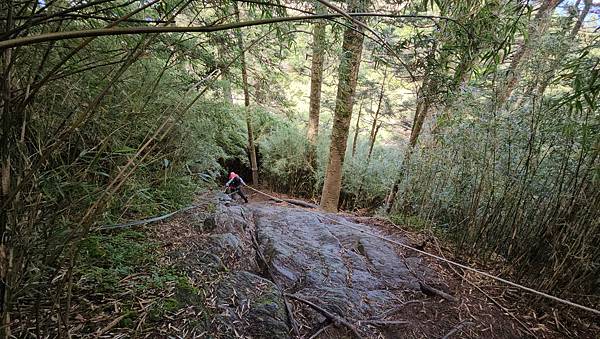 【合歡北西北】睽違2年再次挑戰，合歡群峰中路程最遠、最艱難、