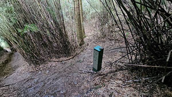 【合歡北西北】睽違2年再次挑戰，合歡群峰中路程最遠、最艱難、