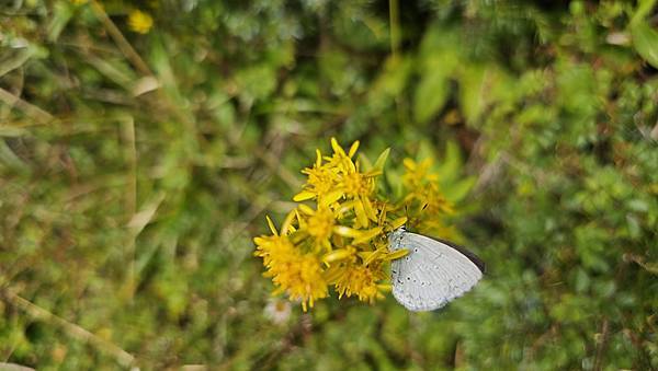 【合歡北西北】睽違2年再次挑戰，合歡群峰中路程最遠、最艱難、