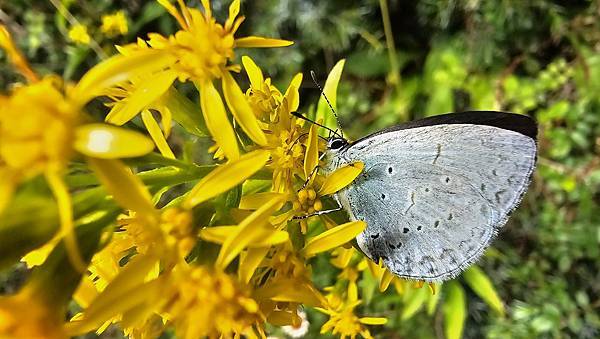 【合歡北西北】睽違2年再次挑戰，合歡群峰中路程最遠、最艱難、