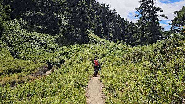 【合歡北西北】睽違2年再次挑戰，合歡群峰中路程最遠、最艱難、