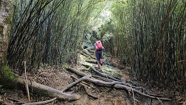 【合歡北西北】睽違2年再次挑戰，合歡群峰中路程最遠、最艱難、