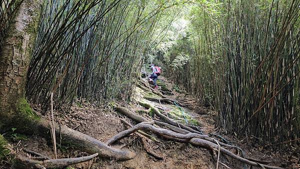 【合歡北西北】睽違2年再次挑戰，合歡群峰中路程最遠、最艱難、