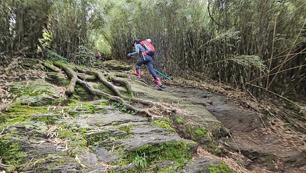 【合歡北西北】睽違2年再次挑戰，合歡群峰中路程最遠、最艱難、