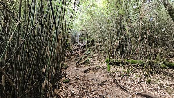 【合歡北西北】睽違2年再次挑戰，合歡群峰中路程最遠、最艱難、