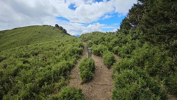 【合歡北西北】睽違2年再次挑戰，合歡群峰中路程最遠、最艱難、