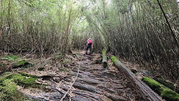 【合歡北西北】睽違2年再次挑戰，合歡群峰中路程最遠、最艱難、