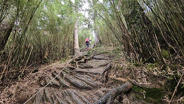 【合歡北西北】睽違2年再次挑戰，合歡群峰中路程最遠、最艱難、