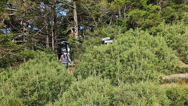 【合歡北西北】睽違2年再次挑戰，合歡群峰中路程最遠、最艱難、