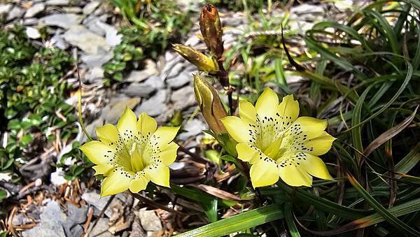 【合歡北西北】睽違2年再次挑戰，合歡群峰中路程最遠、最艱難、