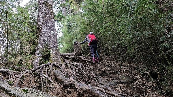 【合歡北西北】睽違2年再次挑戰，合歡群峰中路程最遠、最艱難、