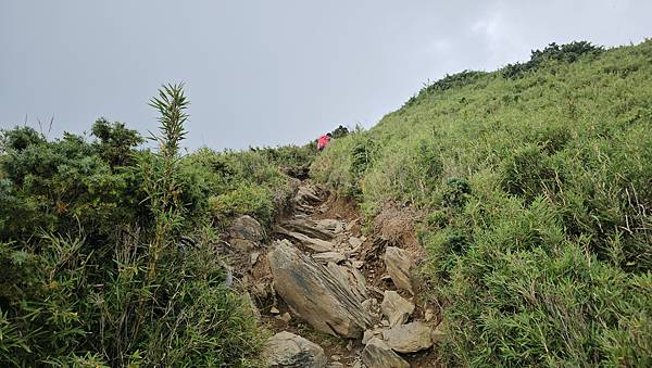 【合歡北西北】睽違2年再次挑戰，合歡群峰中路程最遠、最艱難、