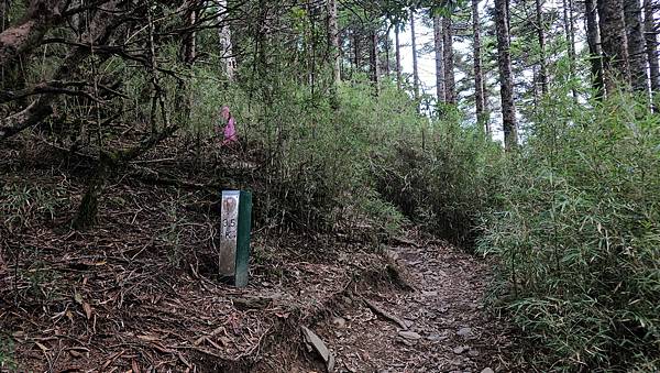 【合歡北西北】睽違2年再次挑戰，合歡群峰中路程最遠、最艱難、