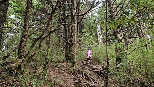 【合歡北西北】睽違2年再次挑戰，合歡群峰中路程最遠、最艱難、