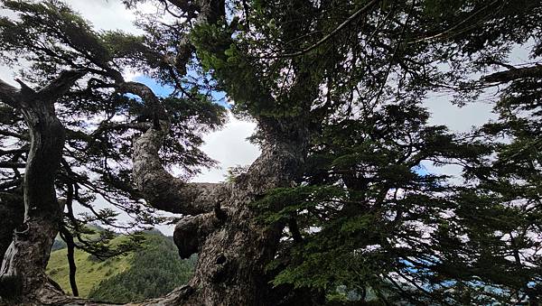 【合歡北西北】睽違2年再次挑戰，合歡群峰中路程最遠、最艱難、