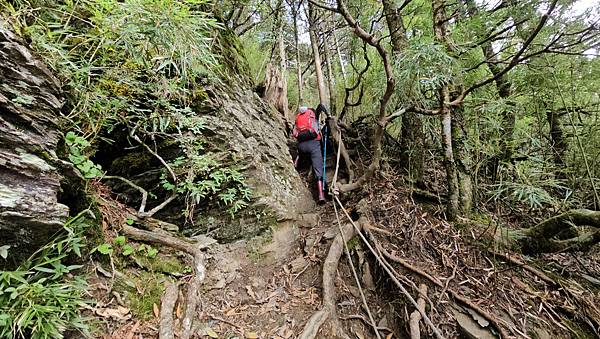 【合歡北西北】睽違2年再次挑戰，合歡群峰中路程最遠、最艱難、