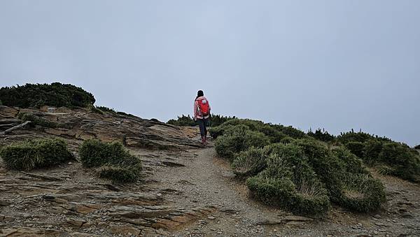 【合歡北西北】睽違2年再次挑戰，合歡群峰中路程最遠、最艱難、