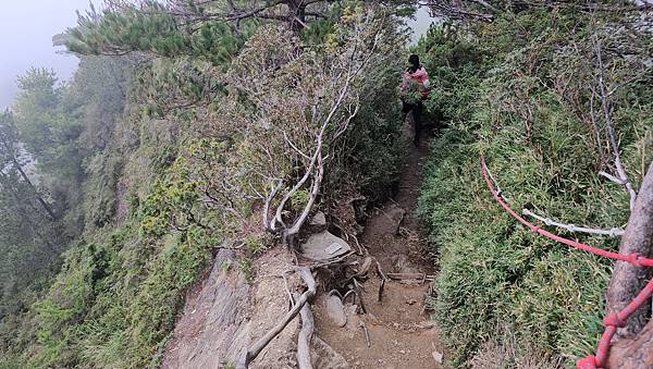 【合歡北西北】睽違2年再次挑戰，合歡群峰中路程最遠、最艱難、