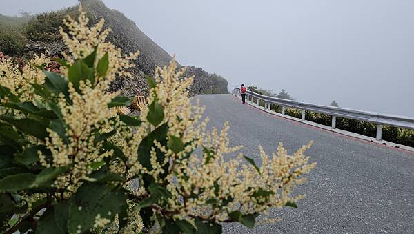 【合歡北西北】睽違2年再次挑戰，合歡群峰中路程最遠、最艱難、