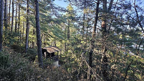 【玉山西峰北峰】兩天一夜玉山西峰+北峰挑戰主北叉路魔王坡! 【玉山西峰北峰】兩天一夜玉山西峰+北峰挑戰主北叉路魔王坡!