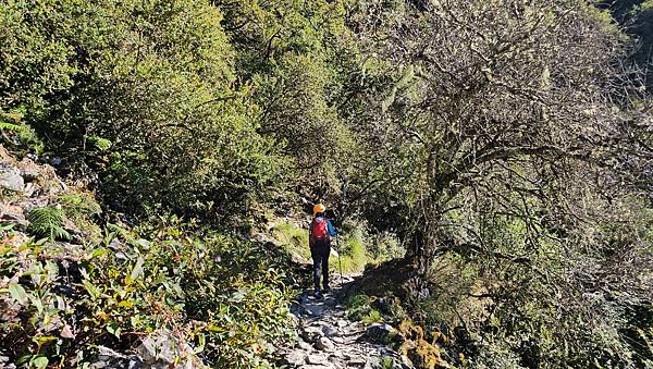 【玉山西峰北峰】兩天一夜玉山西峰+北峰挑戰主北叉路魔王坡! 【玉山西峰北峰】兩天一夜玉山西峰+北峰挑戰主北叉路魔王坡!